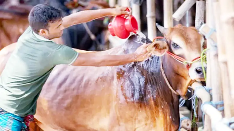 পরিচ্ছন্নতা জরুরি পরিচ্ছন্নতা জরুরি