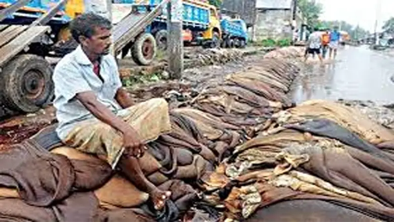 চামড়া উন্নয়ন অর্থনীতির মূল্যবান খাত চামড়া উন্নয়ন অর্থনীতির মূল্যবান খাত