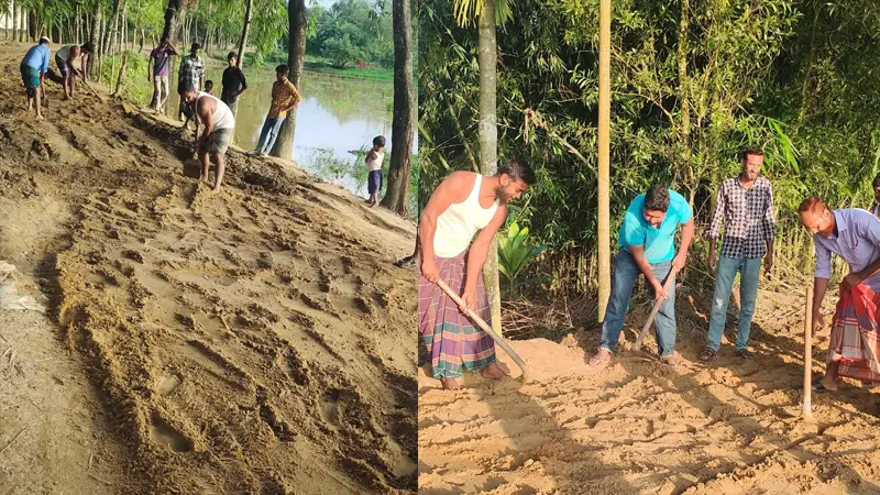 জামায়াতের প্রার্থীর উদ্যোগে গ্রামীণ রাস্তা সংস্কার জামায়াতের প্রার্থীর উদ্যোগে গ্রামীণ রাস্তা সংস্কার