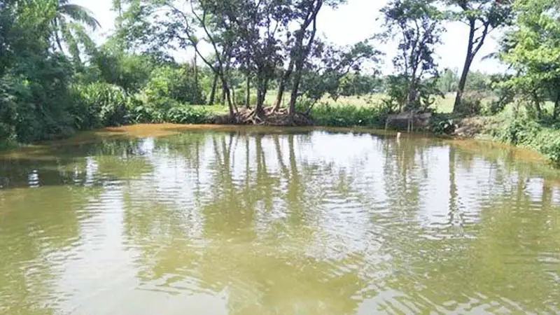 ঝগড়ার সময় পুকুরে পড়ে শাশুড়ির মৃত্যু, পুত্রবধূ গ্রেপ্তার ঝগড়ার সময় পুকুরে পড়ে শাশুড়ির মৃত্যু, পুত্রবধূ গ্রেপ্তার