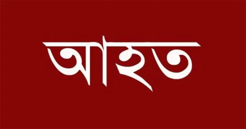 ঈশ্বরদীতে সন্ত্রাসীদের হামলায় ৭ যুবদলের সদস্য ও দিনমজুর আহত