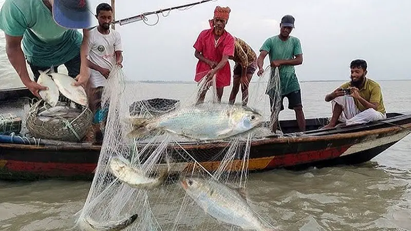 ২২ দিন ইলিশসহ সব ধরণের মাছ ধরায় নিষেধাজ্ঞা ২২ দিন ইলিশসহ সব ধরণের মাছ ধরায় নিষেধাজ্ঞা