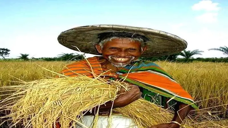 কৃষক বিজ্ঞানী হরিপদ কাপালির হরি ধান উদ্ভাবনের গল্প কৃষক বিজ্ঞানী হরিপদ কাপালির হরি ধান উদ্ভাবনের গল্প