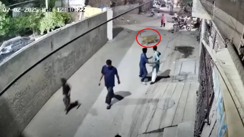 পাকিস্তানে পোষা সিংহের ভয়ংকর কাণ্ড! পাকিস্তানে পোষা সিংহের ভয়ংকর কাণ্ড!