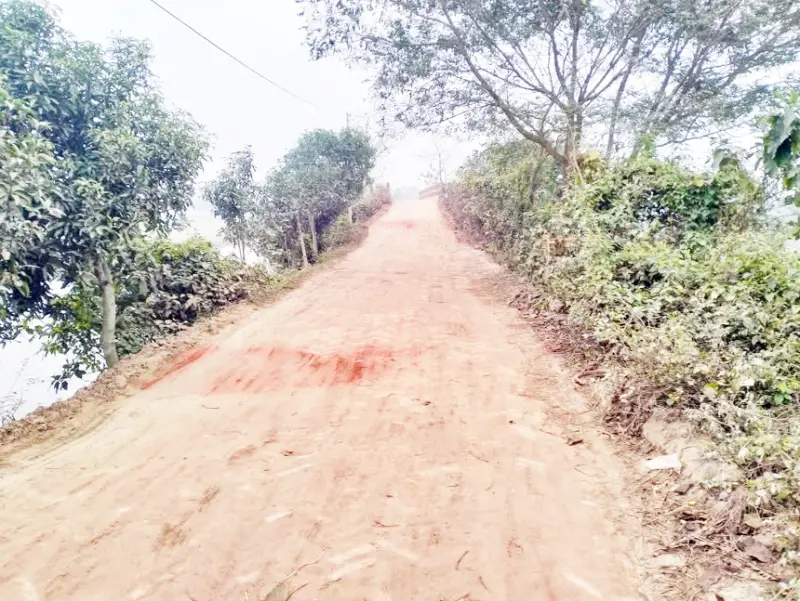 মেঘনায় তুলাতুলির দেড় কিমি রাস্তার বেহাল দশা, ভোগান্তি মেঘনায় তুলাতুলির দেড় কিমি রাস্তার বেহাল দশা, ভোগান্তি