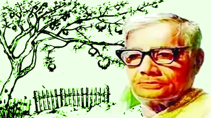 শতবর্ষে অমর এলিজি শতবর্ষে অমর এলিজি