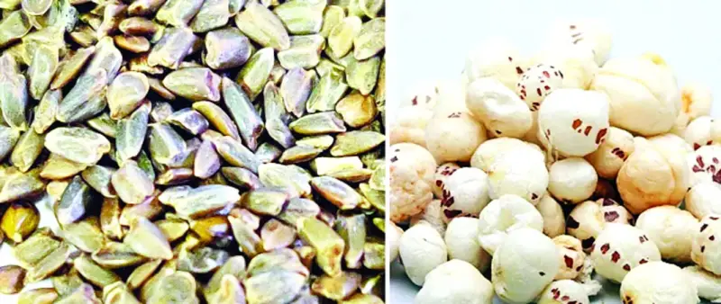তিলের মতো খয়েরি রঙের বিস্ময়কর ভেষজ তালমাখনা তিলের মতো খয়েরি রঙের বিস্ময়কর ভেষজ তালমাখনা
