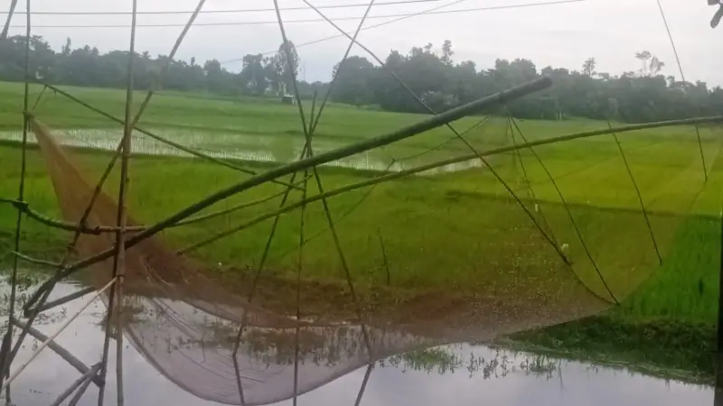 কালের বিবর্তনে হারিয়ে গেছে খড়া জাল কালের বিবর্তনে হারিয়ে গেছে খড়া জাল