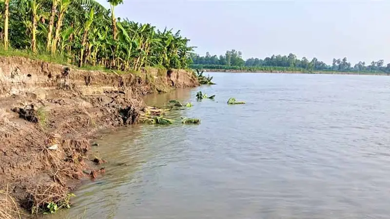 টাঙ্গাইলে যমুনার ভাঙনের আশঙ্কায় শিক্ষাপ্রতিষ্ঠান ও পাঁচ শতাধিক পরিবার টাঙ্গাইলে যমুনার ভাঙনের আশঙ্কায় শিক্ষাপ্রতিষ্ঠান ও পাঁচ শতাধিক পরিবার