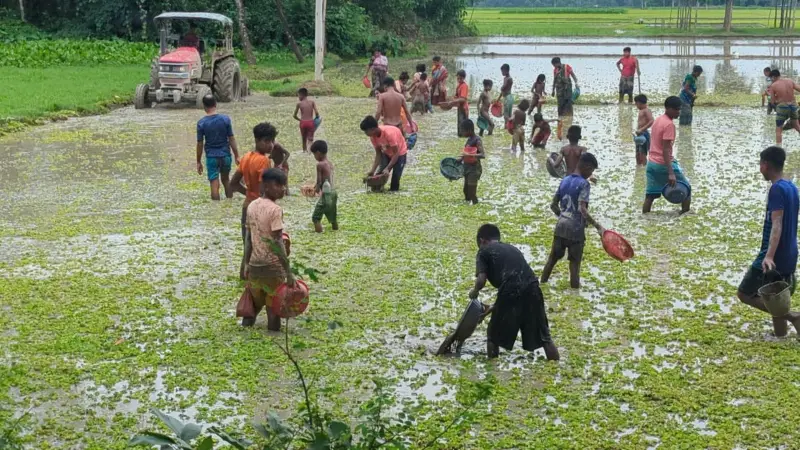 আধুনিকতার ভিড়ে হারিয়ে যাচ্ছে গ্রামবাংলার মাছ ধরার ঐতিহ্য আধুনিকতার ভিড়ে হারিয়ে যাচ্ছে গ্রামবাংলার মাছ ধরার ঐতিহ্য