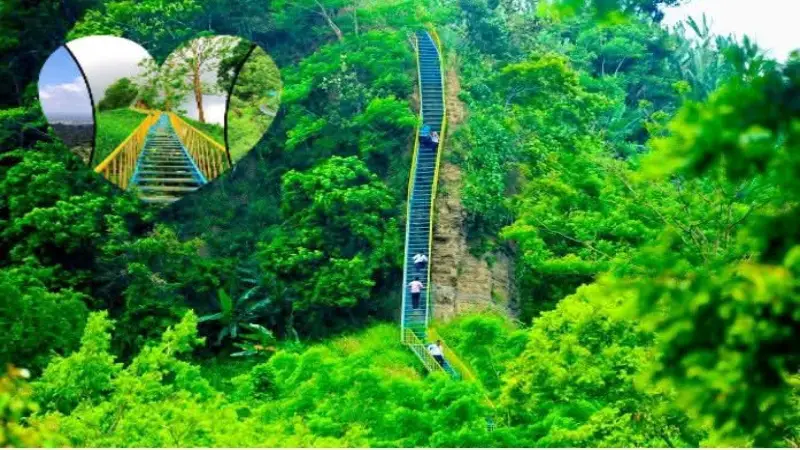পাহাড়ি সৌন্দর্য উপভোগ করতে চান? চলে আসুন স্বর্গের সিঁড়ি’তে পাহাড়ি সৌন্দর্য উপভোগ করতে চান? চলে আসুন স্বর্গের সিঁড়ি’তে
