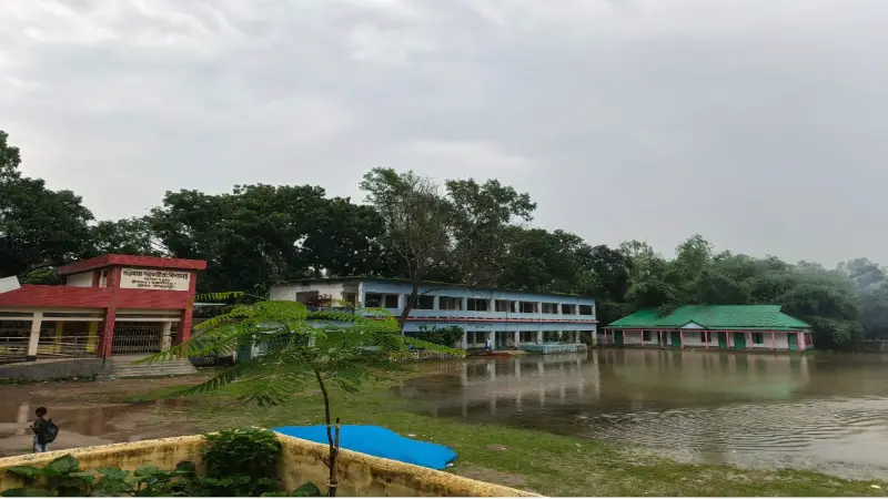 ধ্বংসের মুখে সারমারা নাছির উদ্দীন উচ্চ বিদ্যালয়