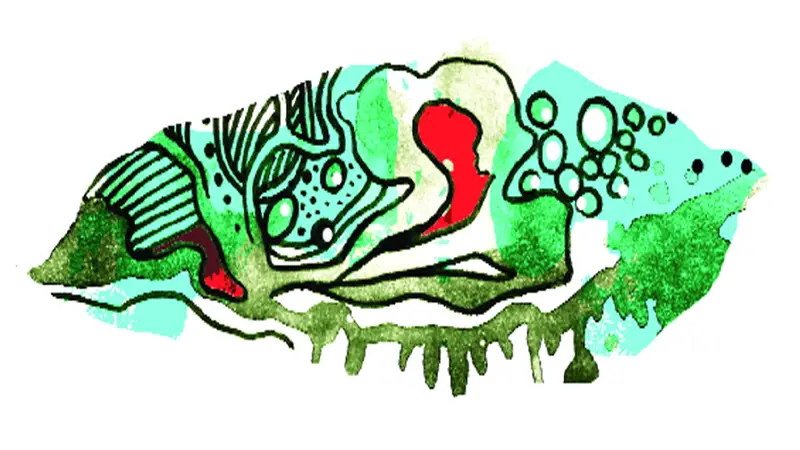 কিসের ভয় কিসের ভয়