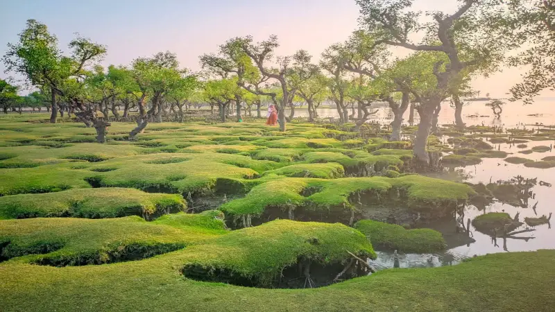 ডিসি পয়েন্টে থাকা-খাওয়ার ব্যবস্থা না থাকায় ভোগান্তিতে পর্যটকরা ডিসি পয়েন্টে থাকা-খাওয়ার ব্যবস্থা না থাকায় ভোগান্তিতে পর্যটকরা