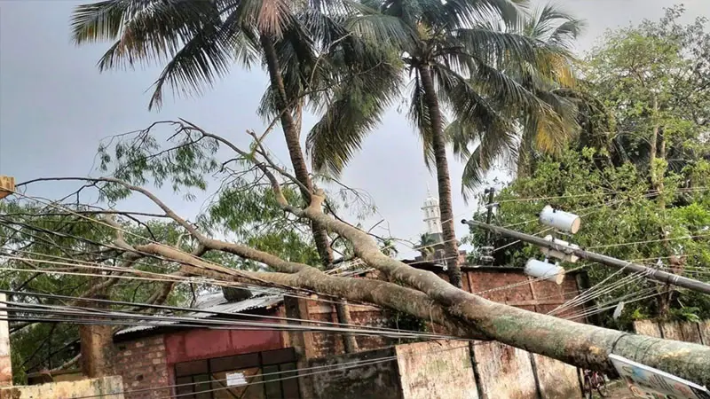 কালবৈশাখী ঝড়ে লন্ডভন্ড শ্রীমঙ্গল