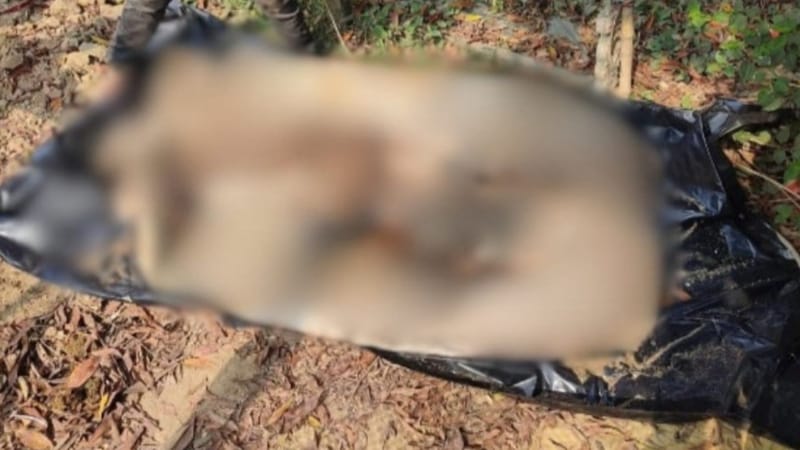গণঅভ্যুত্থানে নিহত জামালের লাশ উত্তোলন গণঅভ্যুত্থানে নিহত জামালের লাশ উত্তোলন