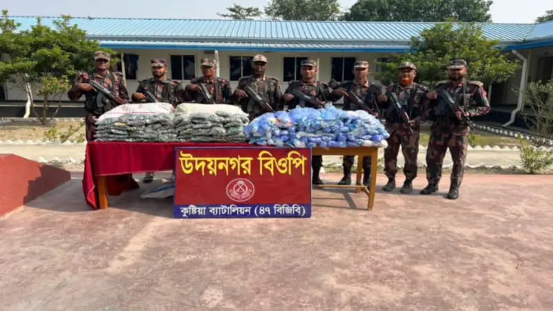 দৌলতপুর সীমান্তে  ১৪ লক্ষ টাকার ভারতীয় কারেন্ট জাল ও পটকা উদ্ধার