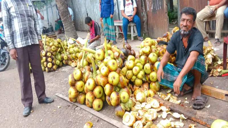 ভোলায় তীব্র গরমে বেড়েছে তালের শাঁসের চাহিদা; রয়েছে স্বাস্থ্য উপকারিতা