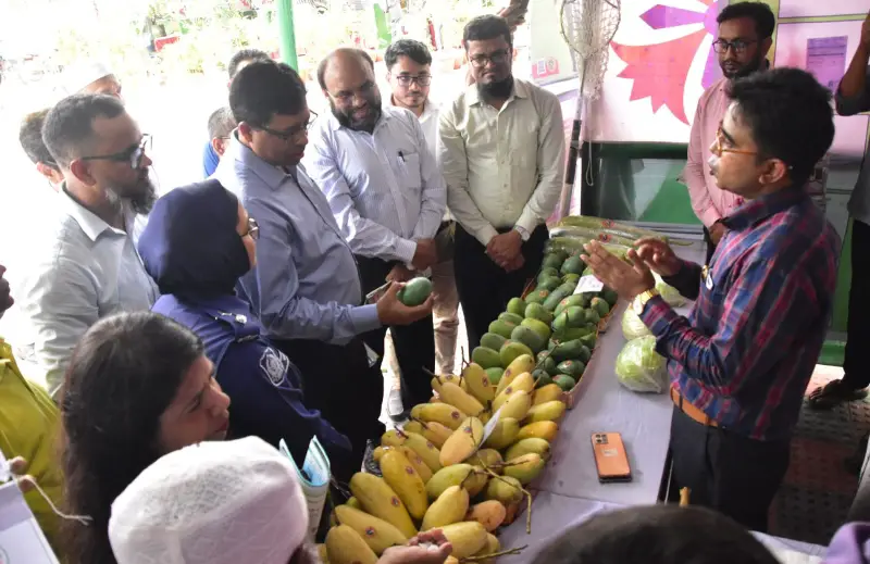 রাজশাহীতে তিনদিনের আমমেলা শুরু রাজশাহীতে তিনদিনের আমমেলা শুরু