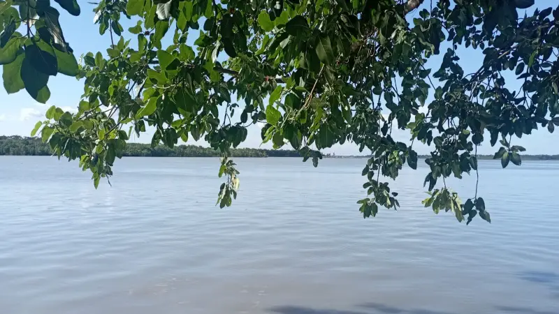 প্রাকৃতিক ৬ চিকিৎসক: রোগ নয়, সুস্থতাই হোক অভ্যাস প্রাকৃতিক ৬ চিকিৎসক: রোগ নয়, সুস্থতাই হোক অভ্যাস