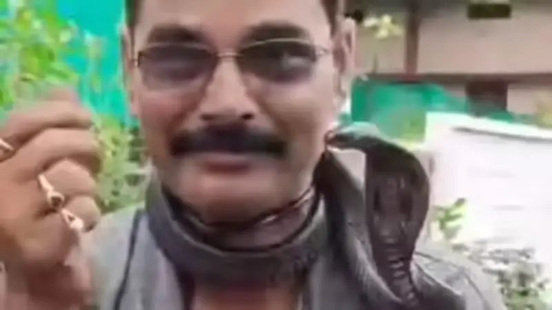 গলায় কোবরা ঝুলিয়ে রিল বানাতে গিয়ে প্রাণ গেল সাপ উদ্ধারকারীর গলায় কোবরা ঝুলিয়ে রিল বানাতে গিয়ে প্রাণ গেল সাপ উদ্ধারকারীর