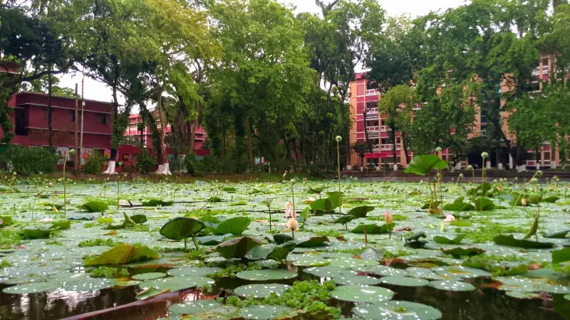 রাজশাহী কলেজের পদ্ম পুকুর এক মনোমুগ্ধকর রত্ন রাজশাহী কলেজের পদ্ম পুকুর এক মনোমুগ্ধকর রত্ন