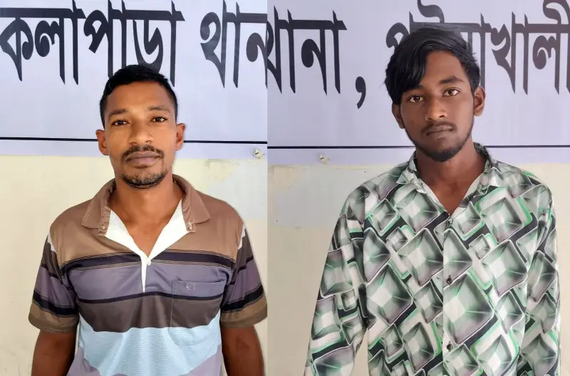 মেজবাহউদ্দিন মাননু, কলাপাড়া মেজবাহউদ্দিন মাননু, কলাপাড়া