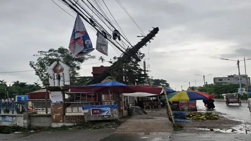 গাইবান্ধায় গাছ উপড়ে বিদ্যুতের তারের ওপর, দুর্ঘটনার শঙ্কা গাইবান্ধায় গাছ উপড়ে বিদ্যুতের তারের ওপর, দুর্ঘটনার শঙ্কা