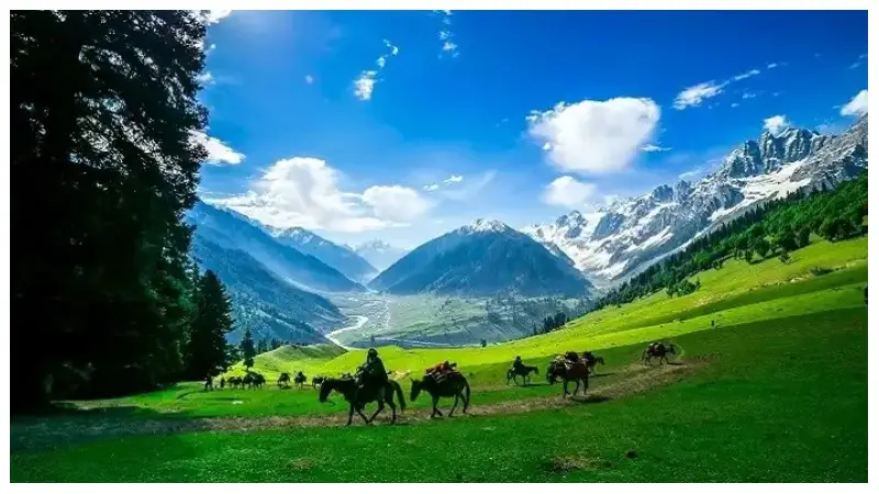 এক ভূখণ্ড, দুই রাষ্ট্র, অগণিত কান্নার উপত্যকা