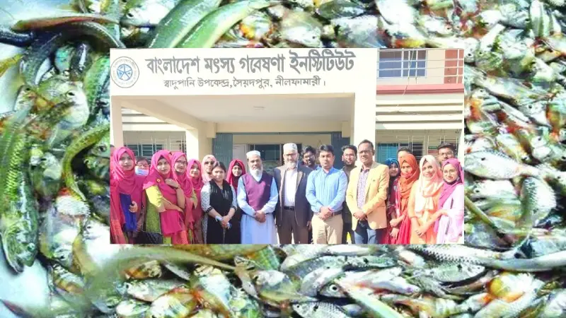 দেশীয় মাছ রক্ষায় সাফল্য: চাষ হচ্ছে ১২ বিলুপ্তপ্রায় প্রজাতির মাছ! দেশীয় মাছ রক্ষায় সাফল্য: চাষ হচ্ছে ১২ বিলুপ্তপ্রায় প্রজাতির মাছ!