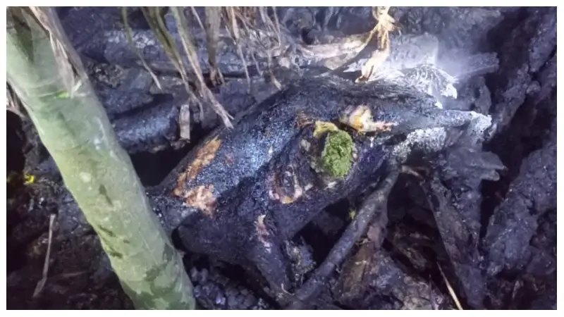 বাউফলে গোয়ালঘরে দুর্বৃত্তের আগুন, পুড়ে ছাই গরু-ছাগলসহ অর্ধশত হাঁস-মুরগি বাউফলে গোয়ালঘরে দুর্বৃত্তের আগুন, পুড়ে ছাই গরু-ছাগলসহ অর্ধশত হাঁস-মুরগি