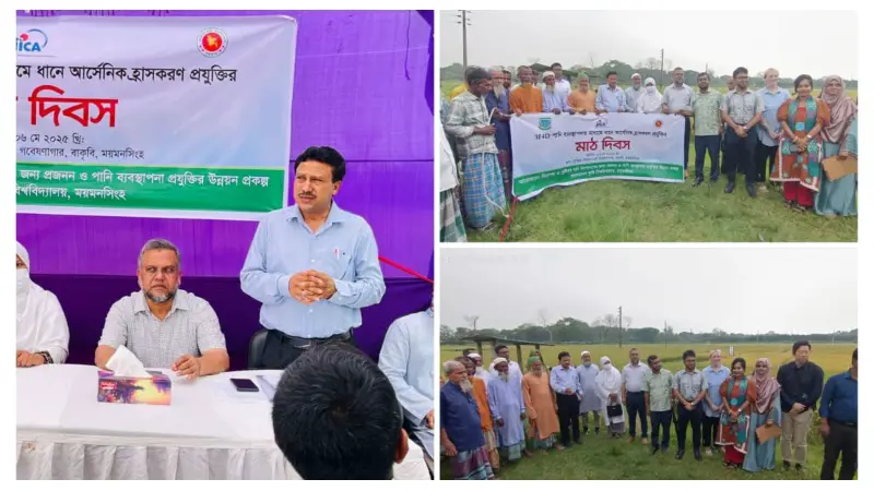বাকৃবিতে ধানে আর্সেনিক হ্রাসকরণ প্রযুক্তির মাঠ দিবস অনুষ্ঠিত বাকৃবিতে ধানে আর্সেনিক হ্রাসকরণ প্রযুক্তির মাঠ দিবস অনুষ্ঠিত