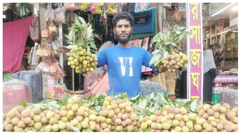 অতি মুনাফার আশায় অপরিপক্ব লিচুতে সয়লাব বাজার, দামও চড়া অতি মুনাফার আশায় অপরিপক্ব লিচুতে সয়লাব বাজার, দামও চড়া
