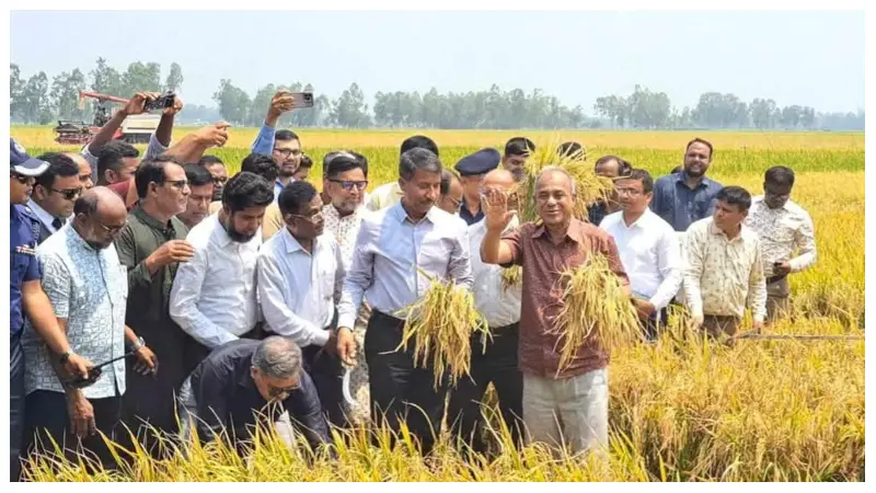 সীমান্ত এলাকায় নির্ভয়ে ধান কাটতে পারবে কৃষক: স্বরাষ্ট্র উপদেষ্টা সীমান্ত এলাকায় নির্ভয়ে ধান কাটতে পারবে কৃষক: স্বরাষ্ট্র উপদেষ্টা