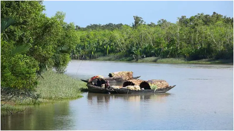 নদীপথ দিয়ে ৬২ জন ভারতীয় নাগরিককে বাংলাদেশে পুশ ইন বিএসএফের নদীপথ দিয়ে ৬২ জন ভারতীয় নাগরিককে বাংলাদেশে পুশ ইন বিএসএফের