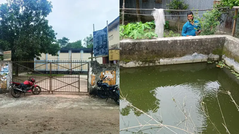 চালকল হাউজে মাছ চাষ, পেয়েছেন চাল বরাদ্দও চালকল হাউজে মাছ চাষ, পেয়েছেন চাল বরাদ্দও