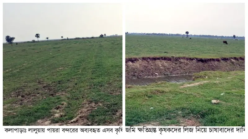 কৃষি জমি লিজ না পেয়ে পায়রা বন্দরের কৃষকদের আকুতি কৃষি জমি লিজ না পেয়ে পায়রা বন্দরের কৃষকদের আকুতি