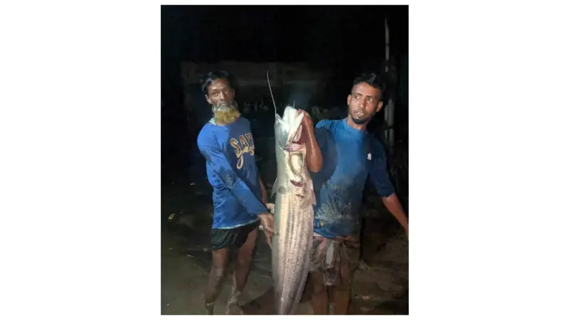 কুমিল্লার গোমতী নদীতে জেলেদের জালে ধরা পড়ল বিশাল বোয়াল কুমিল্লার গোমতী নদীতে জেলেদের জালে ধরা পড়ল বিশাল বোয়াল