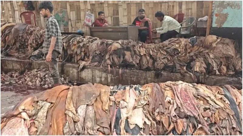 কোরবানির পশুর চামড়ার দাম নির্ধারণ, ১২ ঘণ্টার মধ্যে বর্জ্য অপসারণের আশ্বাস