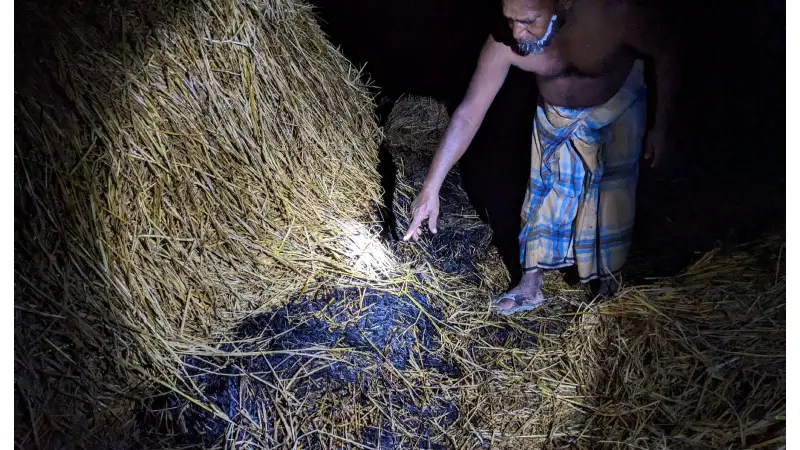 দুর্বৃত্তদের আগুনে মিরসরাইয়ে সাংবাদিকের খামার ক্ষতিগ্রস্ত দুর্বৃত্তদের আগুনে মিরসরাইয়ে সাংবাদিকের খামার ক্ষতিগ্রস্ত