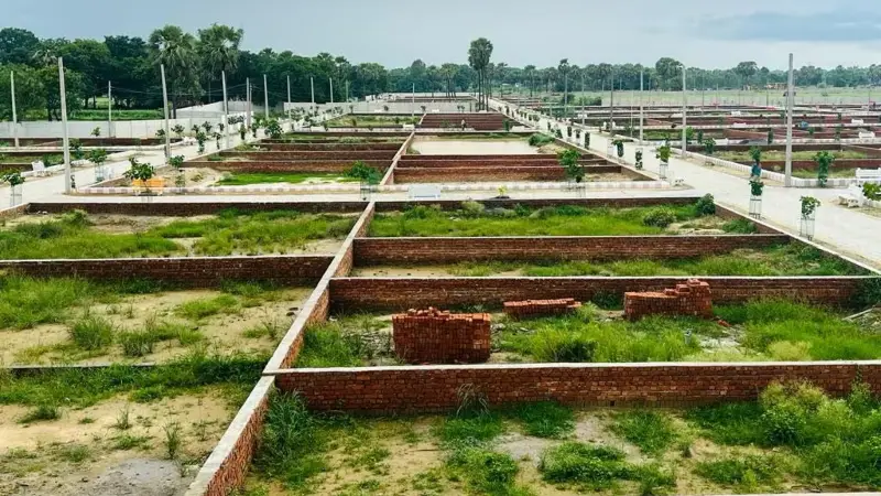 ২টি কাজ করলেই যৌথ সম্পত্তি নিয়ে হবে না পরিবারিক বিবাদ, আইনজীবীর পরামর্শ ২টি কাজ করলেই যৌথ সম্পত্তি নিয়ে হবে না পরিবারিক বিবাদ, আইনজীবীর পরামর্শ