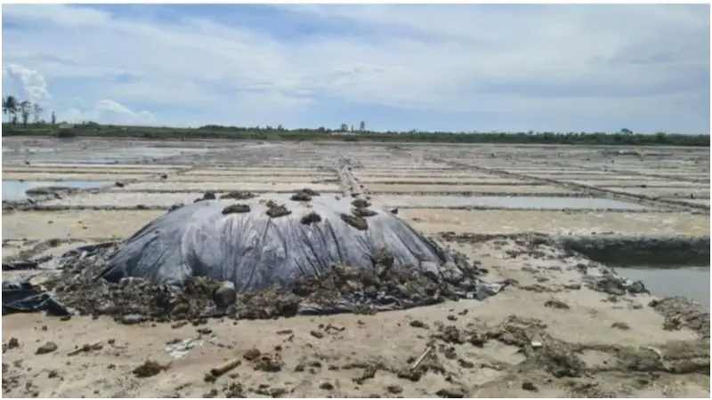 কক্সবাজারে বৈরী আবহাওয়ায় বন্ধ হয়ে গেছে লবণ উৎপাদন কক্সবাজারে বৈরী আবহাওয়ায় বন্ধ হয়ে গেছে লবণ উৎপাদন