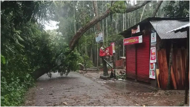 সড়কে গাছ, যান চলাচলে ভোগান্তি সড়কে গাছ, যান চলাচলে ভোগান্তি