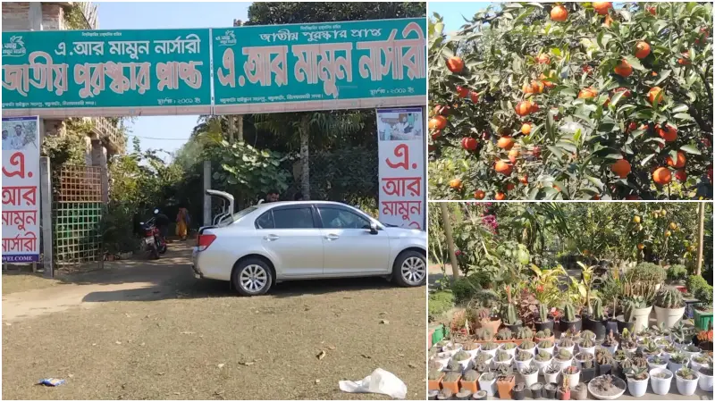 নার্সারি করে সফল উদ্যোক্তা, পেয়েছেন জাতীয় পুরস্কারও নার্সারি করে সফল উদ্যোক্তা, পেয়েছেন জাতীয় পুরস্কারও