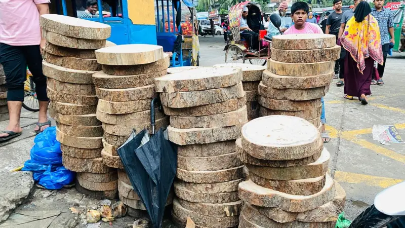 কোরবানির ঈদে চাহিদা তুঙ্গে তেঁতুল কাঠের খাইট্টার কোরবানির ঈদে চাহিদা তুঙ্গে তেঁতুল কাঠের খাইট্টার