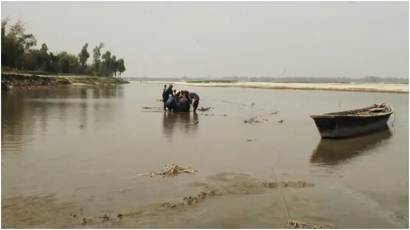 তিস্তায় নতুন পানি হলেও নেই মাছ, রিং জালের প্রভাবে বিপন্ন বৈরালি তিস্তায় নতুন পানি হলেও নেই মাছ, রিং জালের প্রভাবে বিপন্ন বৈরালি