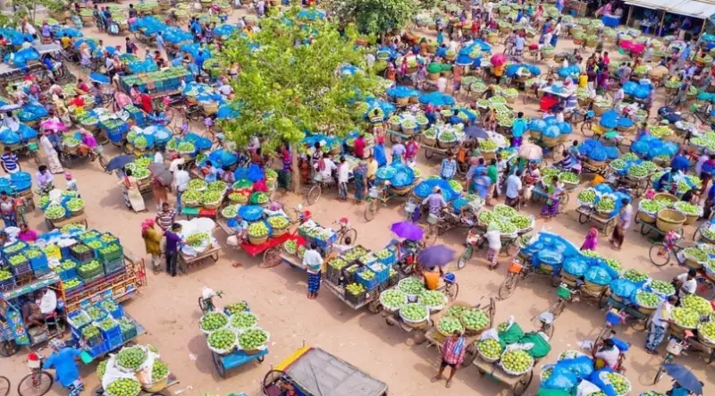 ছুটির ফাঁদে আমচাষির মাথায় হাত