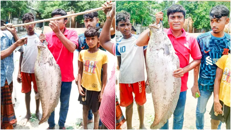 বড়শিতে ধরা পড়লো সাড়ে ৯ কেজি ওজনের চিতল বড়শিতে ধরা পড়লো সাড়ে ৯ কেজি ওজনের চিতল