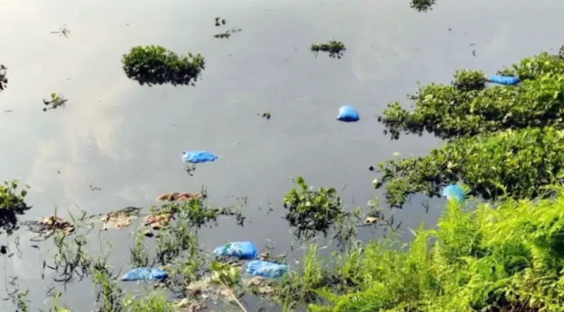 তিতাসে দূষণ ঠেকাতে কোরবানির বর্জ্য অপসারণ, মোবাইল কোর্ট অব্যাহত তিতাসে দূষণ ঠেকাতে কোরবানির বর্জ্য অপসারণ, মোবাইল কোর্ট অব্যাহত