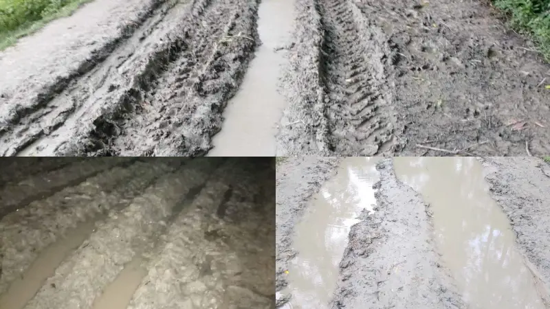 রাঙ্গাবালীর বড়বাইশদিয়ায় পাকা রাস্তা না থাকায় ছয় গ্রামের মানুষের চরম ভোগান্তি রাঙ্গাবালীর বড়বাইশদিয়ায় পাকা রাস্তা না থাকায় ছয় গ্রামের মানুষের চরম ভোগান্তি